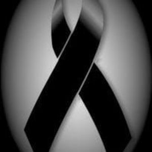 Meet your Posher, Elsa